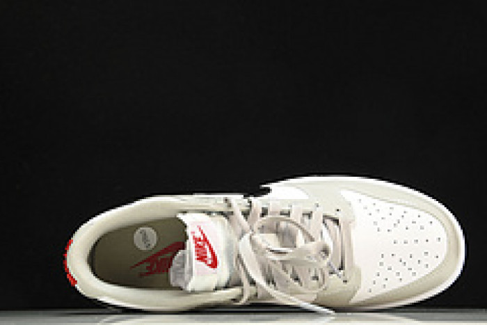 Nike Dunk Low “Light Iron Ore”  DQ7576-001