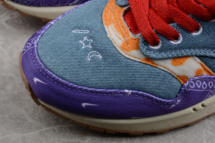 Concepts x Nike Air Max 1 DN1803-500