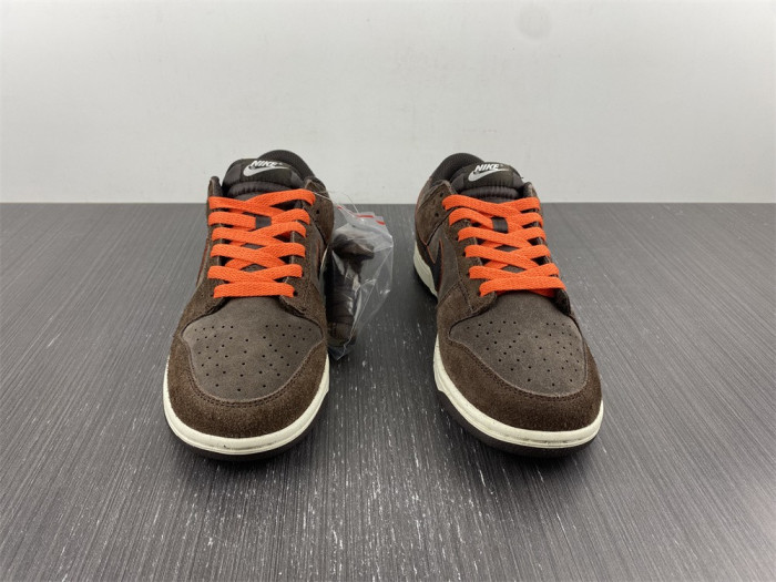Nike Dunk Low Retro DQ8801-200