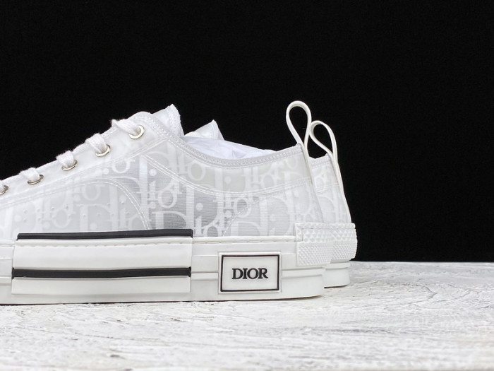 D10R B23  Homme Kaws Low Top Sneaker